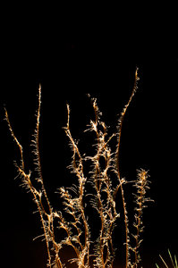 Silvester 2012 - 2013_0015_Klein-2.jpg