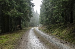 comp__DSC0572.jpg comp__DSC0572.jpg