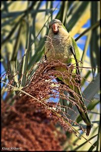 Sample 1.jpg Sample 1.jpg