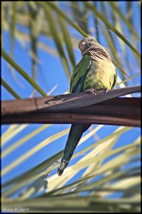 Sample 2.jpg Sample 2.jpg