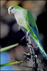 Sample 3.jpg Sample 3.jpg