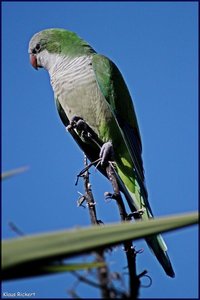 Sample 4.jpg Sample 4.jpg