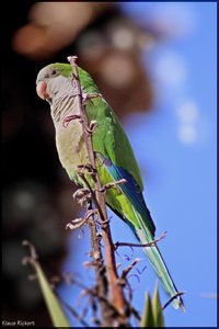 Sample 5.jpg Sample 5.jpg