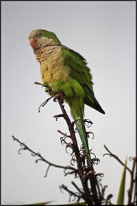 Sample 6.jpg Sample 6.jpg