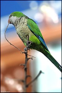 Sample 7.jpg Sample 7.jpg