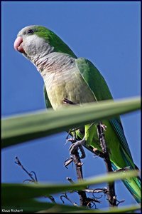 Sample 8.jpg Sample 8.jpg