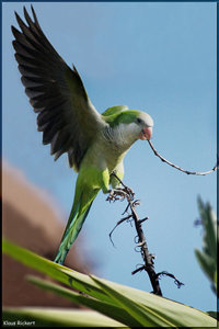 Sample 9.jpg Sample 9.jpg