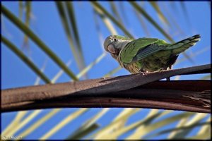 Sample 10.jpg Sample 10.jpg