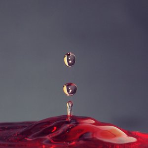 A1057824.jpg A1057824.jpg