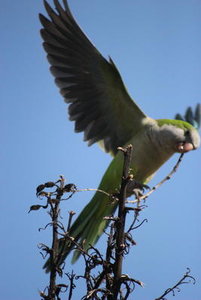 Sample 11.JPG Sample 11.JPG