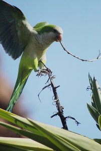 Sample 12.JPG Sample 12.JPG