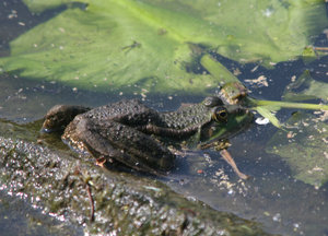11_04_30_ruhr 127.jpg 11_04_30_ruhr 127.jpg
