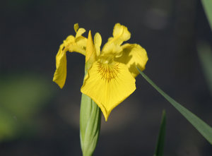 11_04_30_ruhr 128.jpg 11_04_30_ruhr 128.jpg