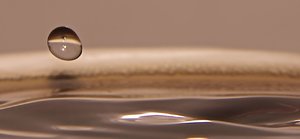 IMG_3888 - Arbeitskopie 2.jpg