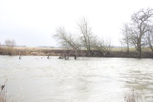 IMG_3485 - Arbeitskopie 2.jpg