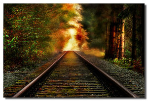 comp__DSC6783c.jpg comp__DSC6783c.jpg