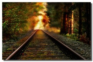 comp_Indian Summer1.jpg