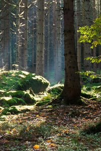 comp__DSC6792.jpg comp__DSC6792.jpg