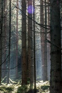 comp__DSC6793.jpg comp__DSC6793.jpg