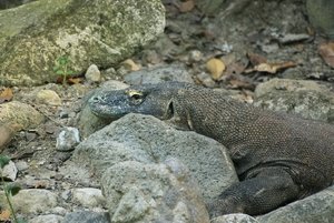 500k_SDIM3666_1.jpg 500k_SDIM3666_1.jpg