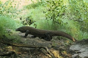 500k_SDIM3685_1.jpg 500k_SDIM3685_1.jpg