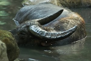 500k_SDIM3687_filtered.jpg 500k_SDIM3687_filtered.jpg