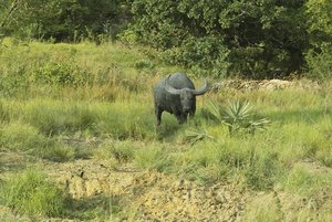 500k_SDIM3694.jpg 500k_SDIM3694.jpg