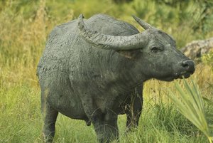 500k_SDIM3697.jpg 500k_SDIM3697.jpg