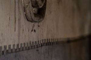 DSC_0472.jpg DSC_0472.jpg