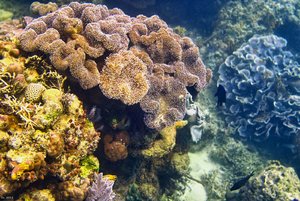 500k_SDIM3825-2.jpg 500k_SDIM3825-2.jpg