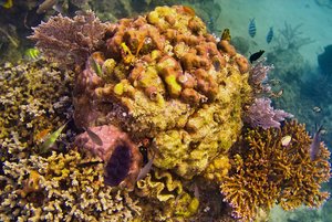 500k_SDIM3834-2.jpg 500k_SDIM3834-2.jpg