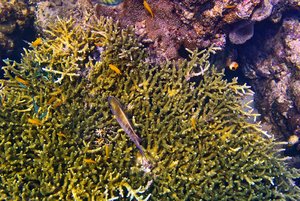 500k_SDIM3843-2.jpg 500k_SDIM3843-2.jpg