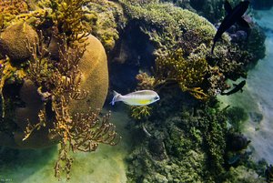 500k_SDIM3851-2.jpg 500k_SDIM3851-2.jpg