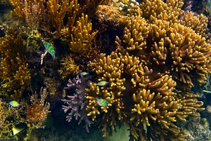 500k_SDIM3862-3.jpg 500k_SDIM3862-3.jpg