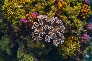 500k_SDIM3877.jpg 500k_SDIM3877.jpg