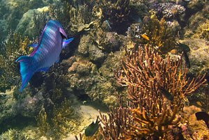 500k_SDIM3908-2.jpg 500k_SDIM3908-2.jpg