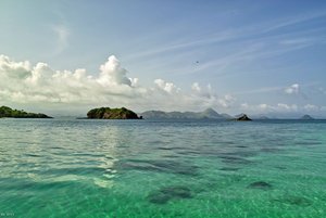 500k_SDIM3959.jpg 500k_SDIM3959.jpg