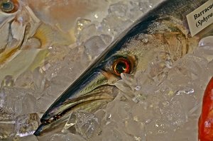 DSC_4264 (FILEminimizer)1.JPG