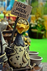 DSC_4339 (FILEminimizer) (FILEminimizer)1.JPG