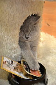 DSC_4371 (FILEminimizer)1.JPG