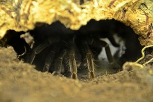 DSC_4377 (FILEminimizer) (FILEminimizer)1.JPG