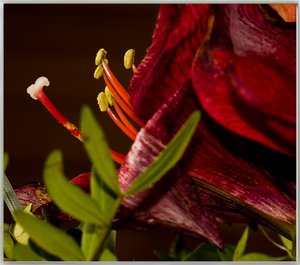 IMG_5062 - Arbeitskopie 2.jpg