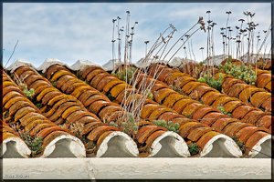 Sample 2.jpg Sample 2.jpg