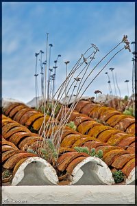 Sample 15.jpg Sample 15.jpg