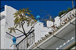 Sample 4.jpg Sample 4.jpg