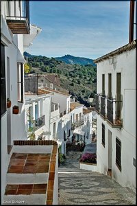 Sample 29.jpg Sample 29.jpg