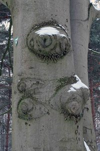 IMG_4512.JPG IMG_4512.JPG