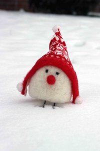 IMG_4496.JPG IMG_4496.JPG