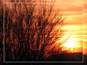 113-rahmen-2_bearbeitet-2-klein.jpg 113-rahmen-2_bearbeitet-2-klein.jpg