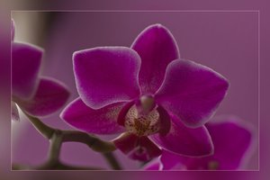 IMG_5056 - Rahmen Arbeitskopie 2.jpg